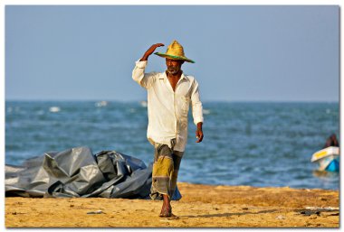 Sri lanka, negombo Balık pazarı