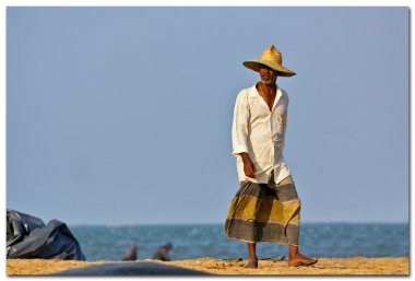 Sri lanka, negombo Balık pazarı