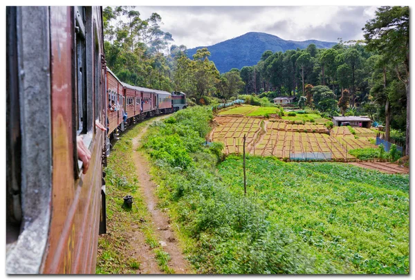 Vasúti és a vonat Srí Lanka-i — стокове фото