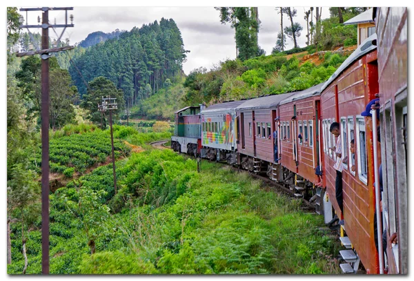 Ferroviária e trem em Sri Lanka — Fotografia de Stock