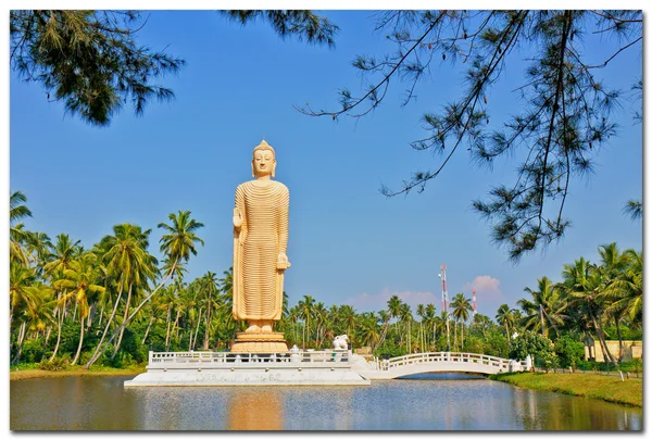 Buddha — Stockfoto