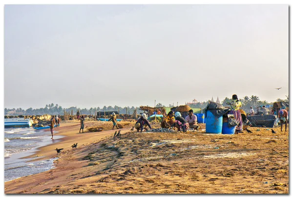 Les gens sur la plage — Photo