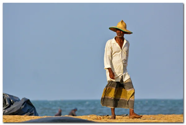 Sri lanka, targ rybny negombo — Zdjęcie stockowe