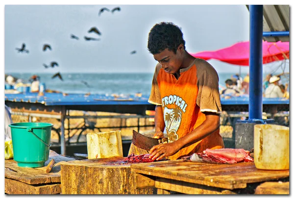 Sri Lanka, Mercado de pescado Negombo — Foto de Stock