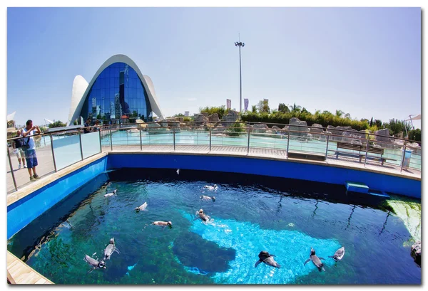 Entrada do famoso Complexo Edifício L 'Oceanográfico — Fotografia de Stock