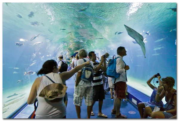 Valencia L'Oceanographic Center - underwater tunnel to see marine life — Stock Photo, Image