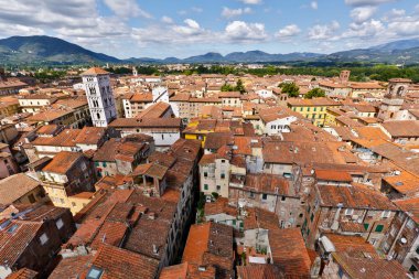 görüntüleme İtalyan şehir lucca tipik terracotta çatı