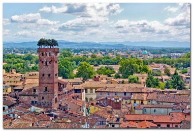 View over Italian town Lucca with typical terracotta roofs clipart