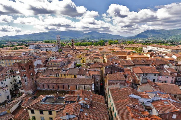 Blick über die italienische Stadt Lucca mit typischen Terrakottadächern — Stockfoto