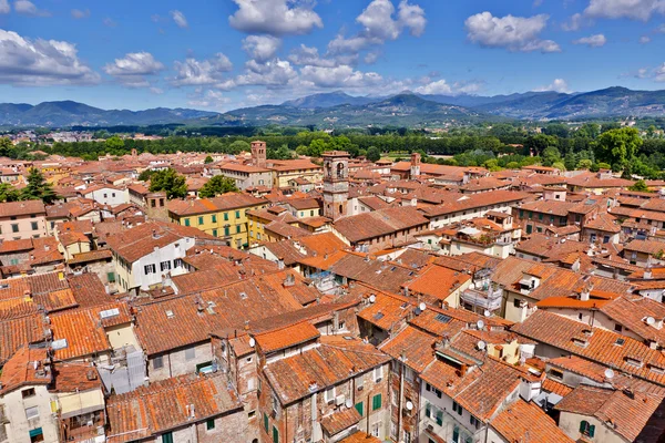 Veduta sulla città italiana di Lucca con tipici tetti in cotto — Foto Stock