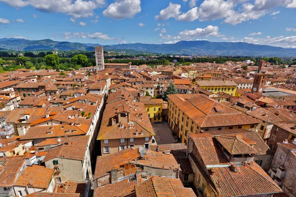 View over Italian town Lucca with typical terracotta roofs — Stock Photo, Image