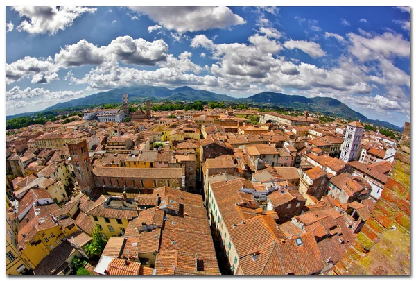 Uitzicht over Italiaanse stad lucca met typische terracotta daken — Stockfoto