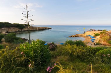 Protaras beach, Kıbrıs