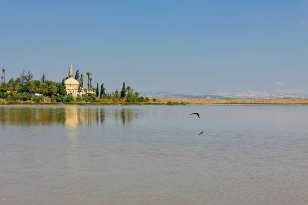 Hala Sultan Tekke a Cipro — Foto Stock