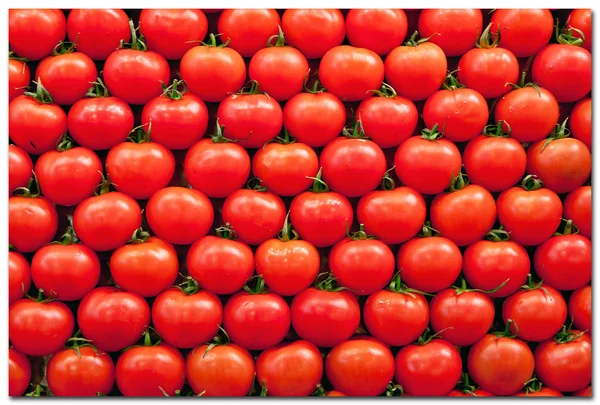 Tomates — Fotografia de Stock