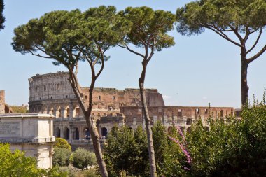Roma, İtalya - görünüm coliseum.
