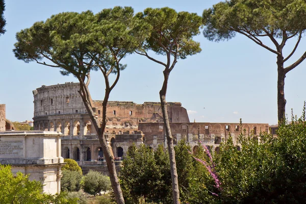 Roma, İtalya - görünüm coliseum.