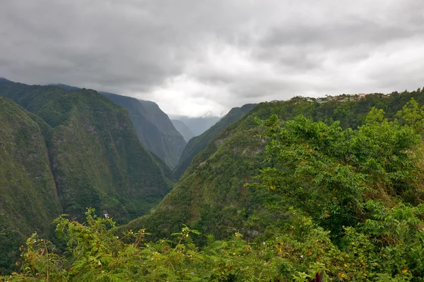 Forest on mountains — Stock Photo, Image