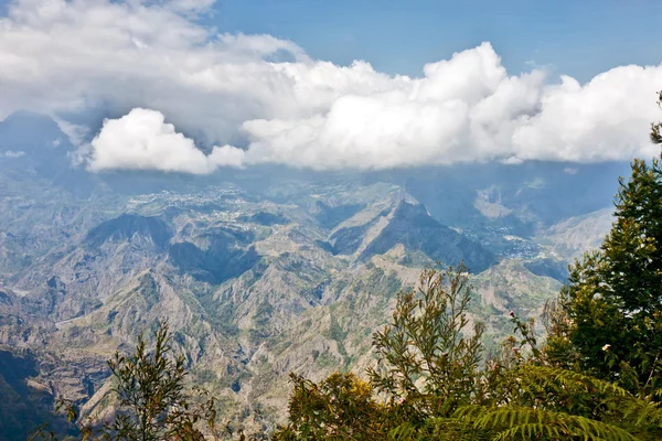 Reunion Adası, les hale getirir. — Stok fotoğraf