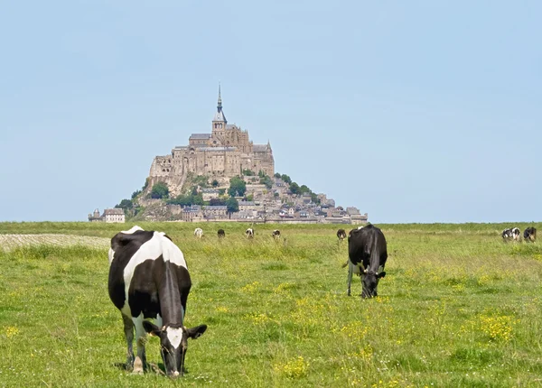 Mont Saint Michel — Stock Photo, Image