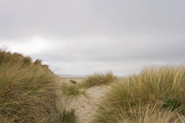 Pas-de-calais
