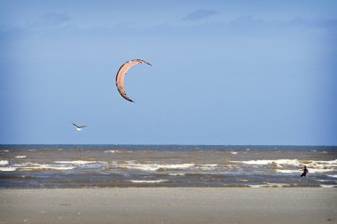 Caretta sahilde, Fransa