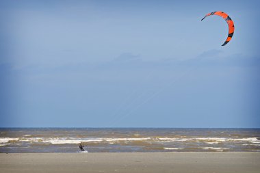 Caretta sahilde, Fransa