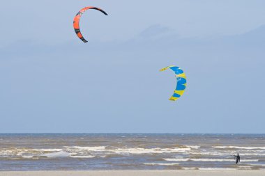 Caretta sahilde, Fransa