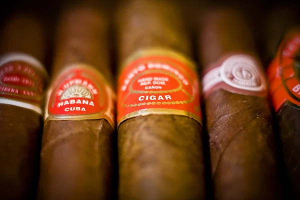 Havana cigars texture — Stock Photo, Image