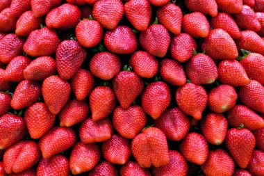 taze olgun kırmızı çilek