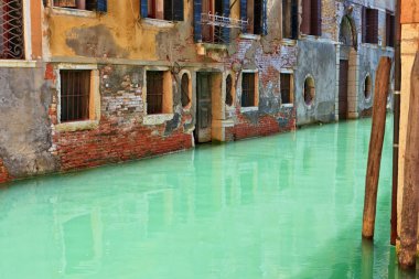 Green water in a Venetian canal clipart