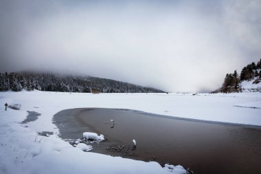 Lac de Payolle, Fransız Pirenesi 'nde bulunan yapay göl. Midi-Pyrenees bölgesinde, Hautes-Pyrenees departmanının Campan ve Arreau komünde yer almaktadır..