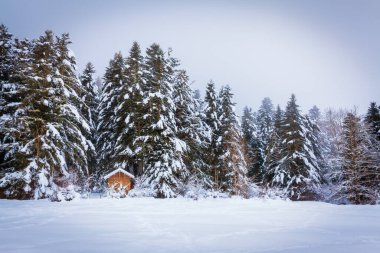 Lac de Payolle, Fransız Pirenesi 'nde bulunan yapay göl. Midi-Pyrenees bölgesinde, Hautes-Pyrenees departmanının Campan ve Arreau komünde yer almaktadır..