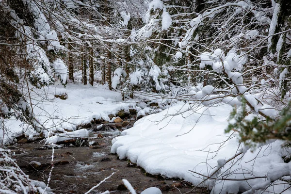 Lac Payolle Est Lac Artificiel Des Pyrénées Françaises Est Situé Photos De Stock Libres De Droits