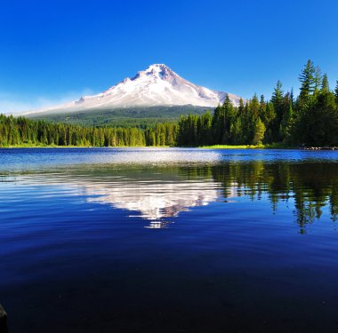 The Mount Hood reflection in Trillium Lake clipart