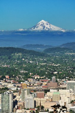 Portland manzarası