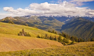 Kasırga ridge, olimpik milli park, washington, ABD
