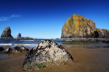 Cannon plaj ve haystack rock
