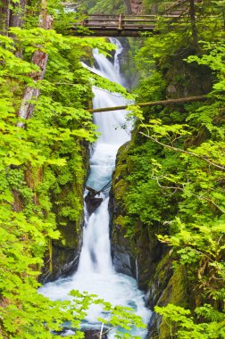 sol duc şelale olimpik Milli Parkı