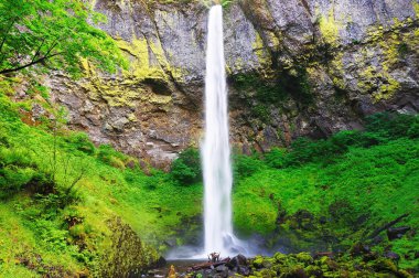 güzel elwha düşer