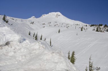 mt hood güzel bir görünümü