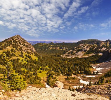 güzel görünüm mt rainier güneş doğarken bir patika üzerinden gidin