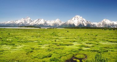 jackson lake resort panoramik manzarası