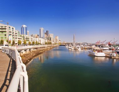 seattle, pier66 güzel bir görünüm