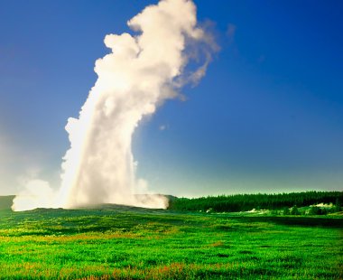 Old faithful, yellowstone