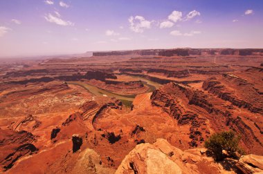 utah state park ölü at