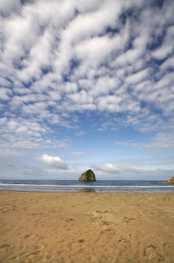 Cape kiwanda Devlet Parkı