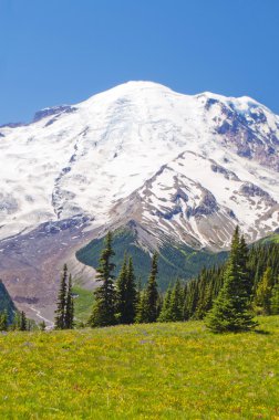 mt rainier güzel görünümü