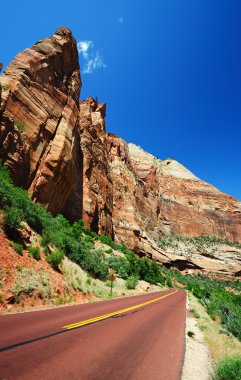 Yolun ortasında zion national park