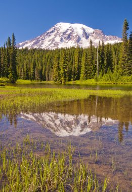 el lago reflexión y mt rainier